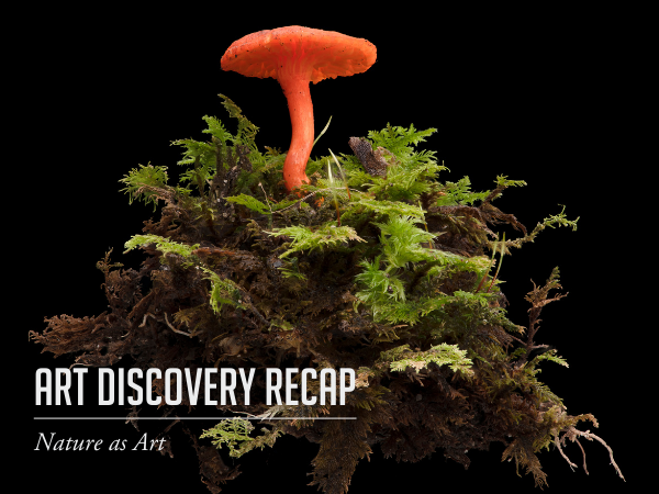 art discovery recap - nature as art